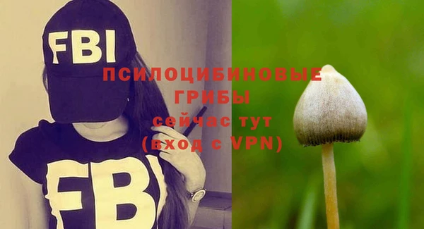 стаф Алексеевка