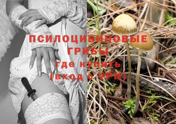 стаф Алексеевка