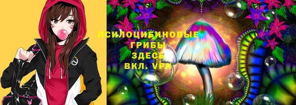 стаф Алексеевка